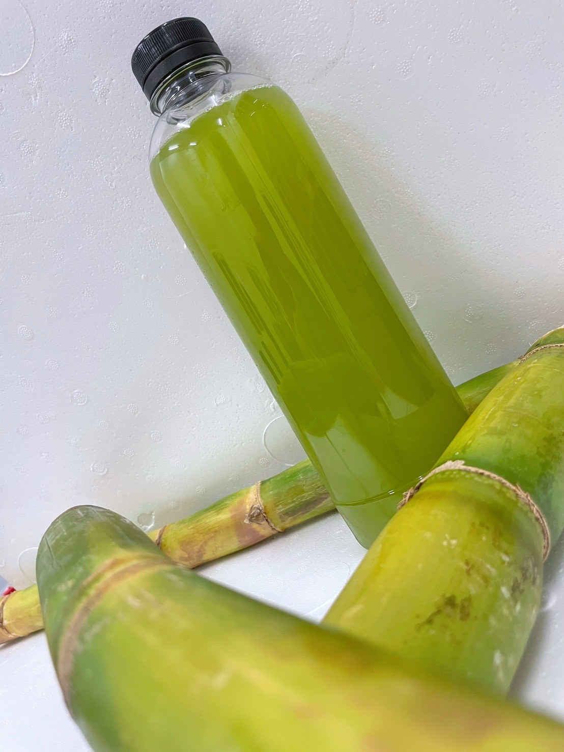 鉦旺樂 | 專業冷凍水果與原汁供應商